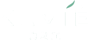 KAMIEロゴ