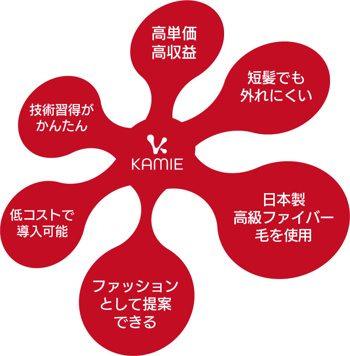 KAMIE導入サロン様の利点